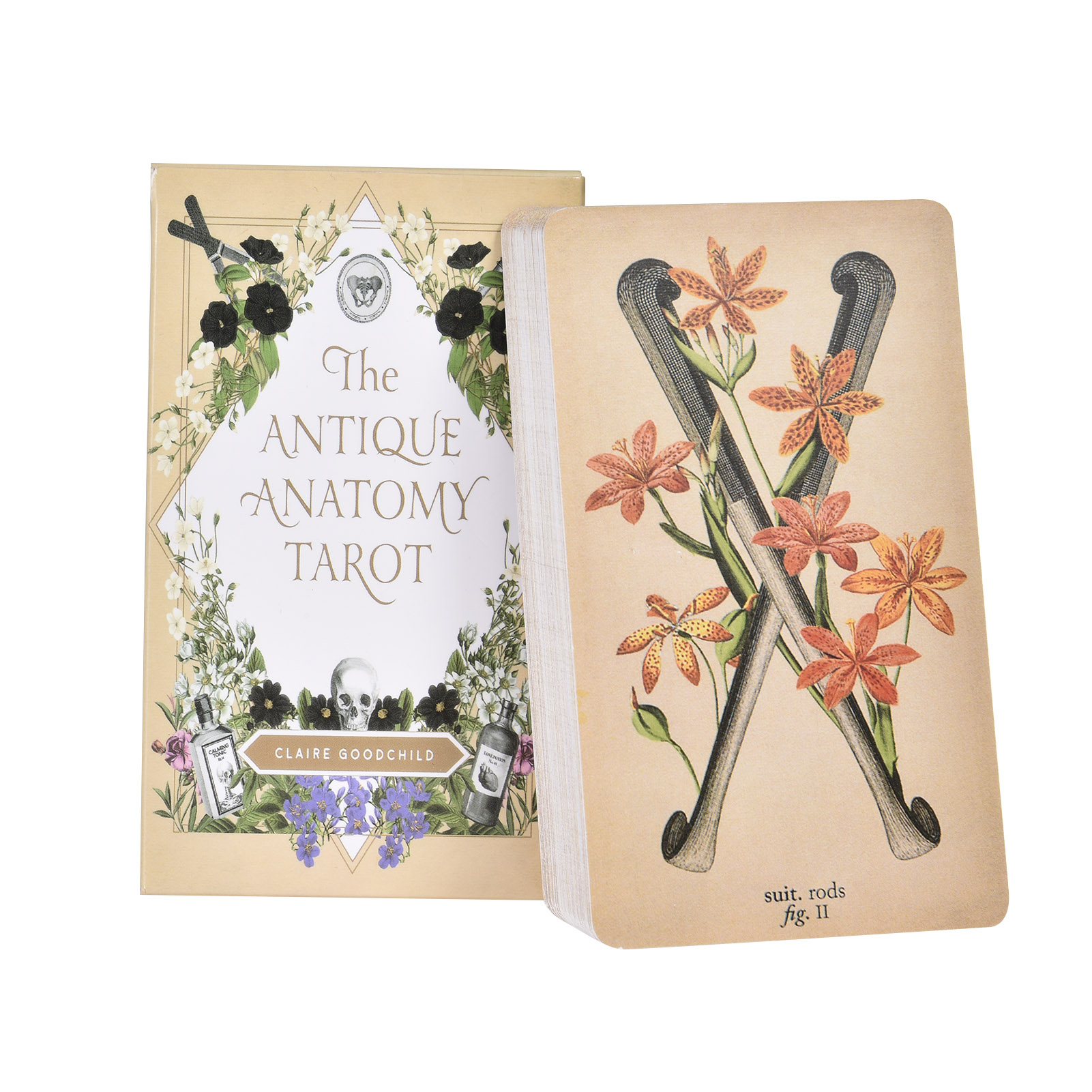 De Antieke Anatomie Tarotkaart - Tarot Cards Deck With Guidebook recensie en prijs