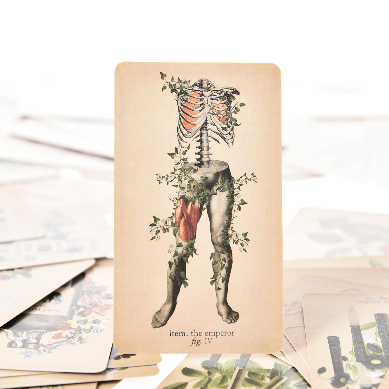 De Antieke Anatomie Tarotkaart - Tarot Cards Deck With Guidebook recensie en prijs